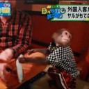 外国人大喜び！サルがもてなす居酒屋・・・