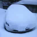 どうせ千歳に帰ると雪で車が埋まってるんでしょ。わかってますよ。