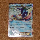 【2014/02/01 (土) ジムバトル：カードコレクション鳥居松店】