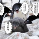 《森林の始源体》、禁止キター