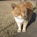 同性愛禁止法案が成立したナイジェリアで
