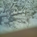 さすがに（秘密に私信）