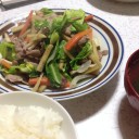 日曜　〓恐竜と作業と〓