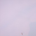 超雪