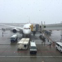 ♪雪でした