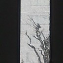 水墨画な吹雪。