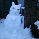 雪ねこ