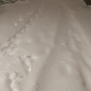 雪の帰り道