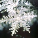 雪