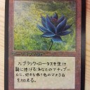 マッキーの練習2
