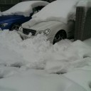 　雪の降る朝