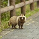 なみだ・・・