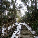 早すぎる時の