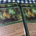 MTGで気持ちいい瞬間