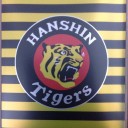！祝！遂に完成⁈*(^o^)/* 阪神タイガース！！