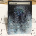 【拡張アート】 金粉の水蓮/Gilded Lotus