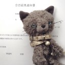 ソラ吉のソラ吉によるソラ吉のための高校受験　“これからの道”　の巻
