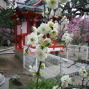 諸々の話(3/2)