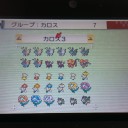 揃った！