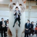 「新入りの巨人」の