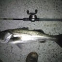 釣りレポ