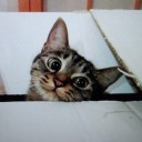 ああ、可愛い・・・・　　