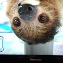 えっ？