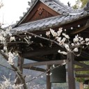 大山寺