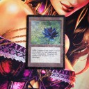 私のBlack Lotusのお値段