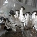 この2日でなにがあった・・・