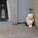 慢心に慢心を重ねた結果