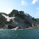 三陸海岸の思い出