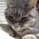 慢性だから