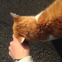 木曜　〓雨と風と〓