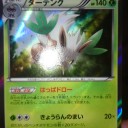 【XY2】新環境の幕開け
