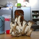 収穫祭その１