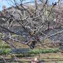2014年3月15日の日記