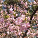 2014年3月15日の日記
