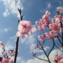 月曜　〓片付けと本と〓