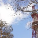 札幌、０.０２７μ。