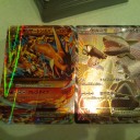 (追加購入)あれ?ワイルドブレイズとは?