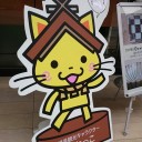 録画物がたまってく