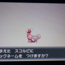 久々の更新