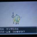 続き