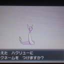 続き