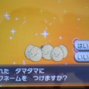 続き