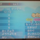 続き