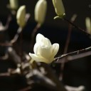 2014年3月23日の日記