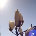 2014年3月23日の日記