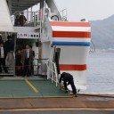 宮島航路